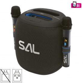 BoomBox, 2 microfoane fara fir, rezistent la apa - PARCUBE