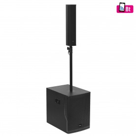 Sistem audio profesional, woofer de 25 cm. - PAS10W43S